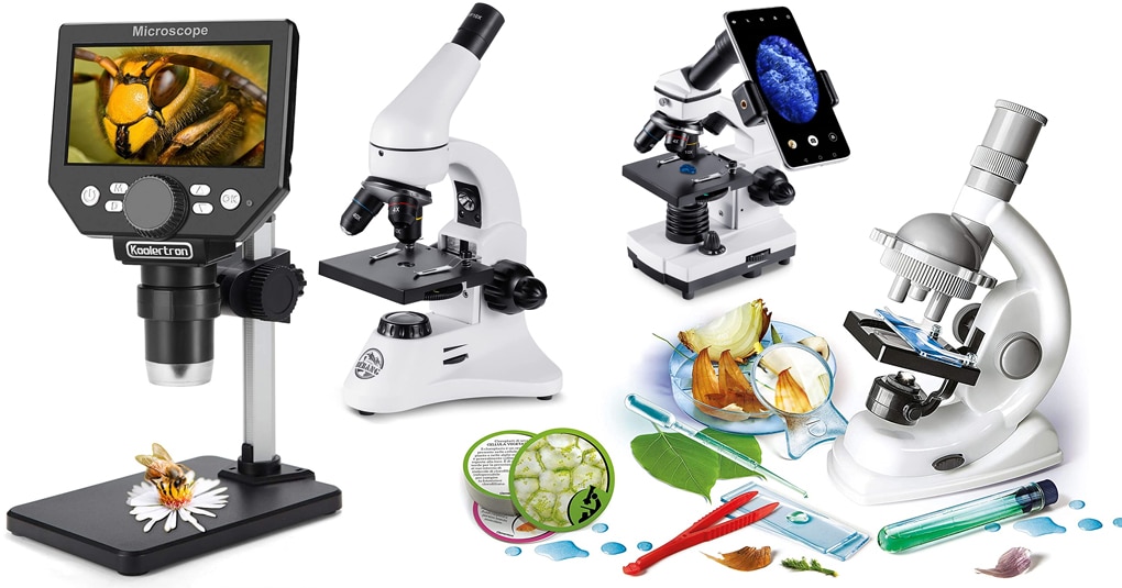 Microscopi per Bambini